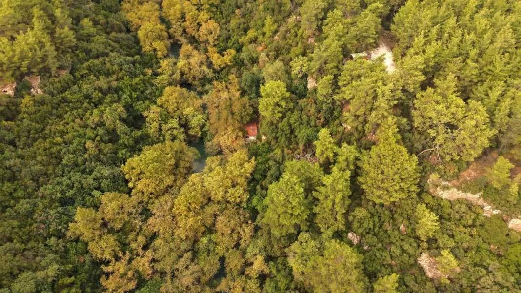 Antalya’da Kenan Evren İçin Yapılan Köşk Şimdi Kahve Kokuyor! 5